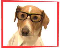 Dr. Murray